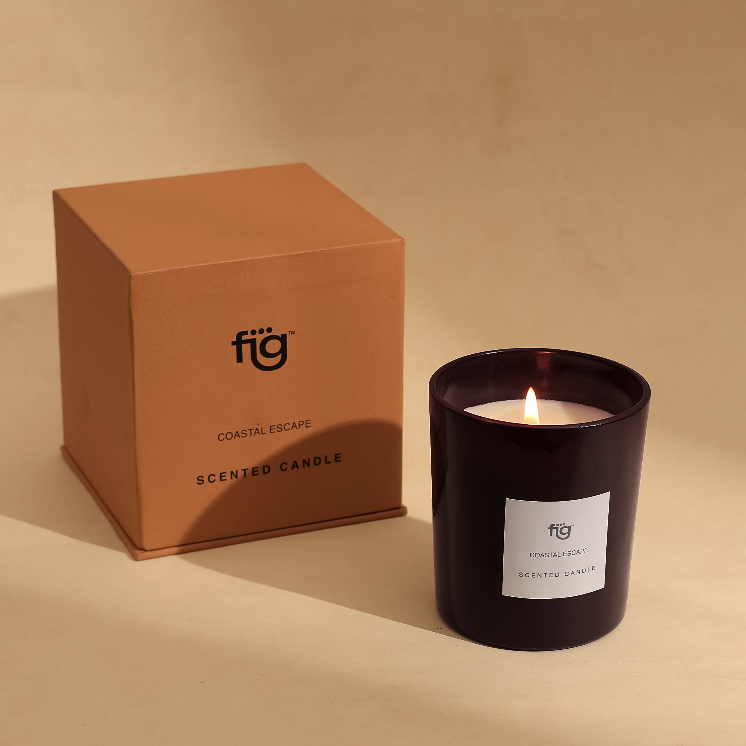 FIG COASTAL ESCAPE SCENTED CANDLE