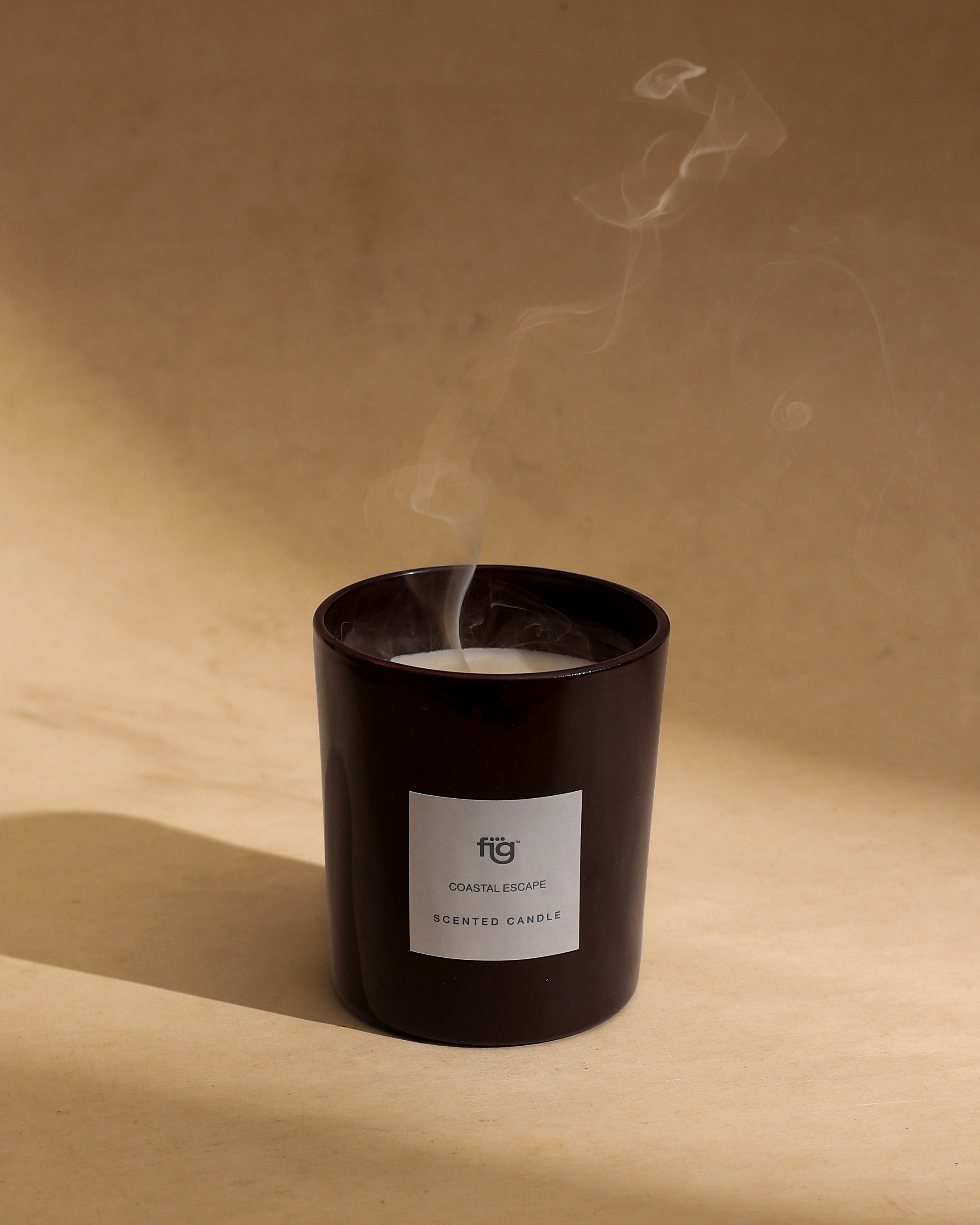 FIG COASTAL ESCAPE SCENTED CANDLE