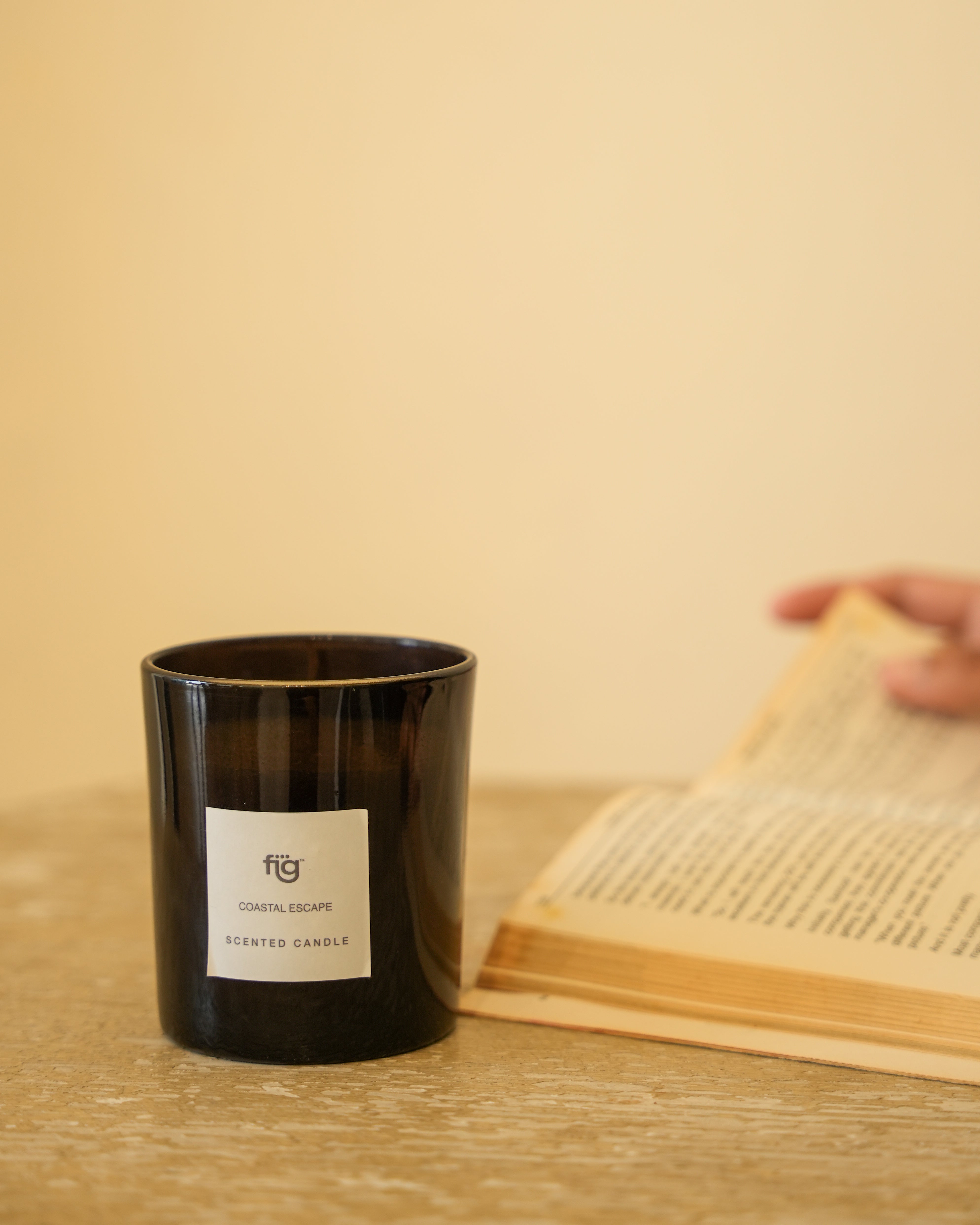 FIG COASTAL ESCAPE SCENTED CANDLE