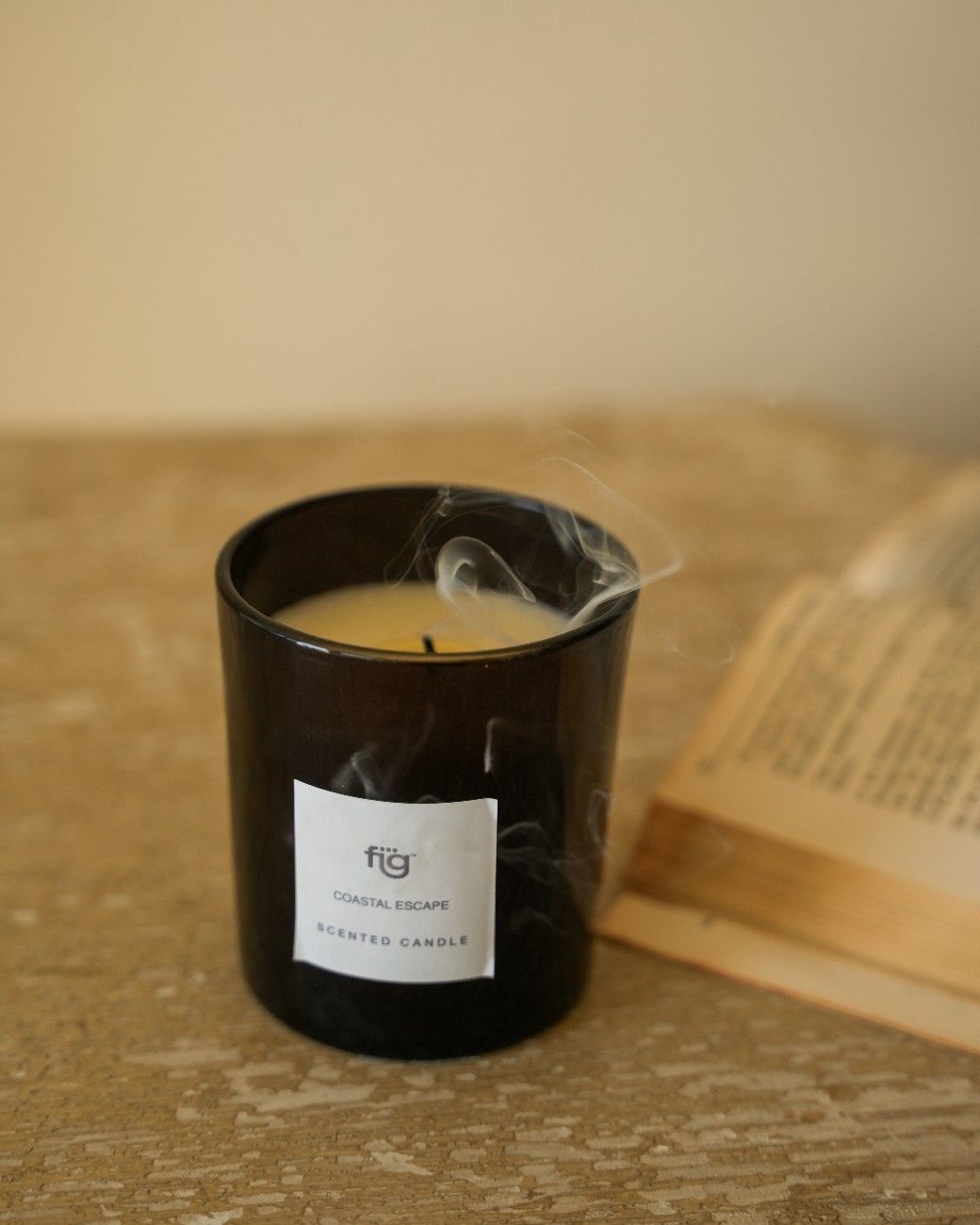 FIG COASTAL ESCAPE SCENTED CANDLE