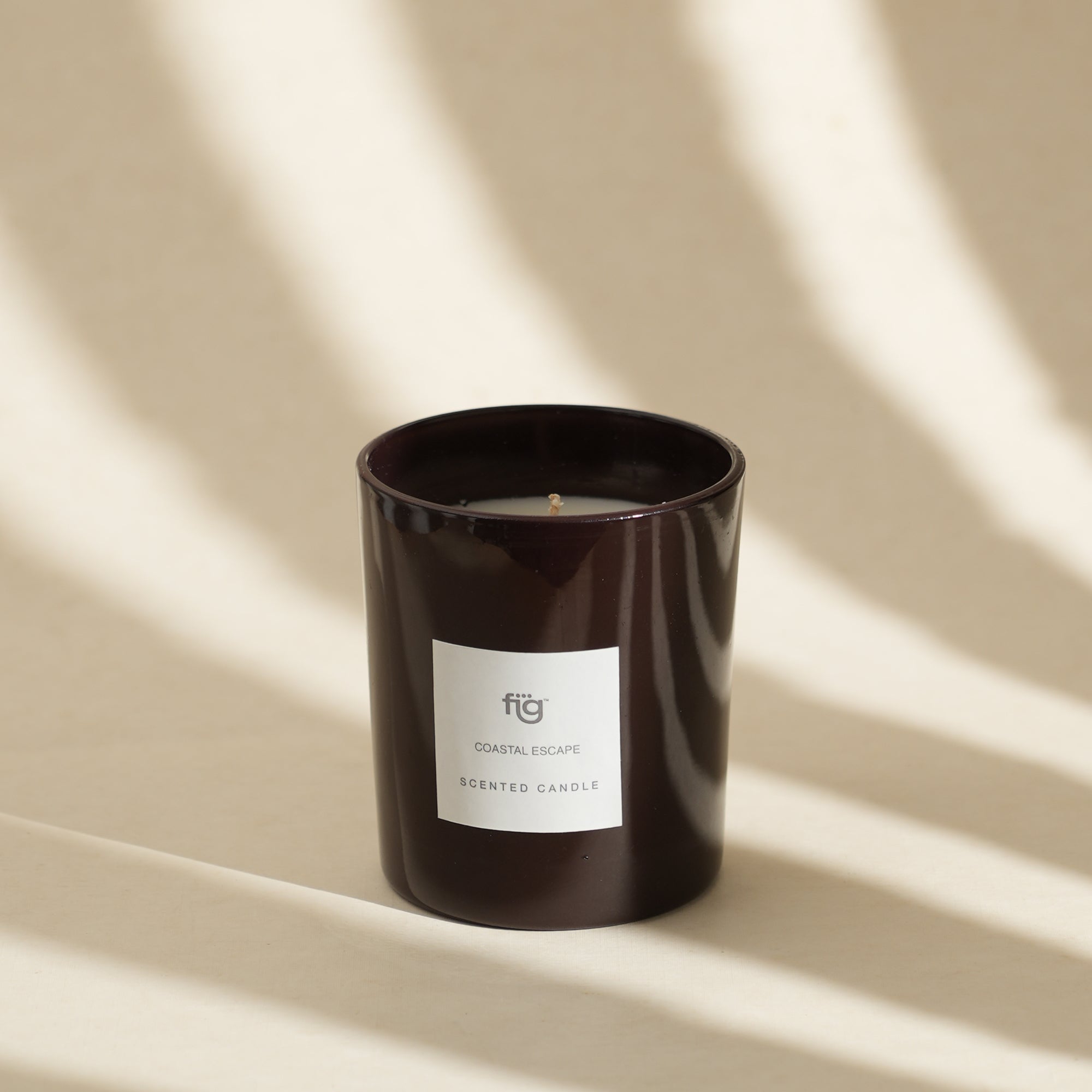 FIG COASTAL ESCAPE SCENTED CANDLE