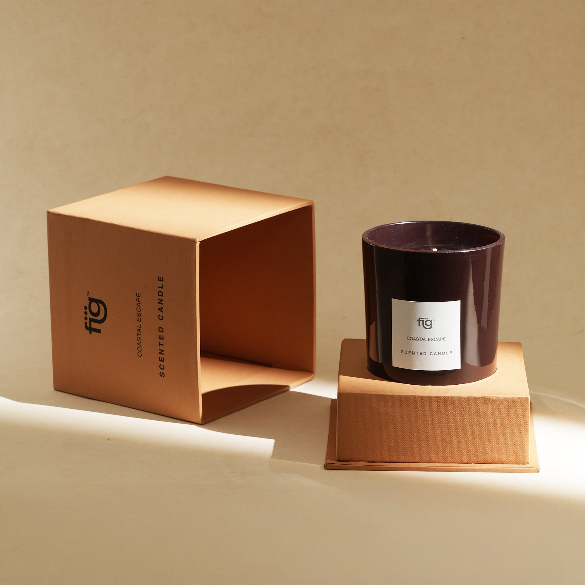 FIG COASTAL ESCAPE SCENTED CANDLE