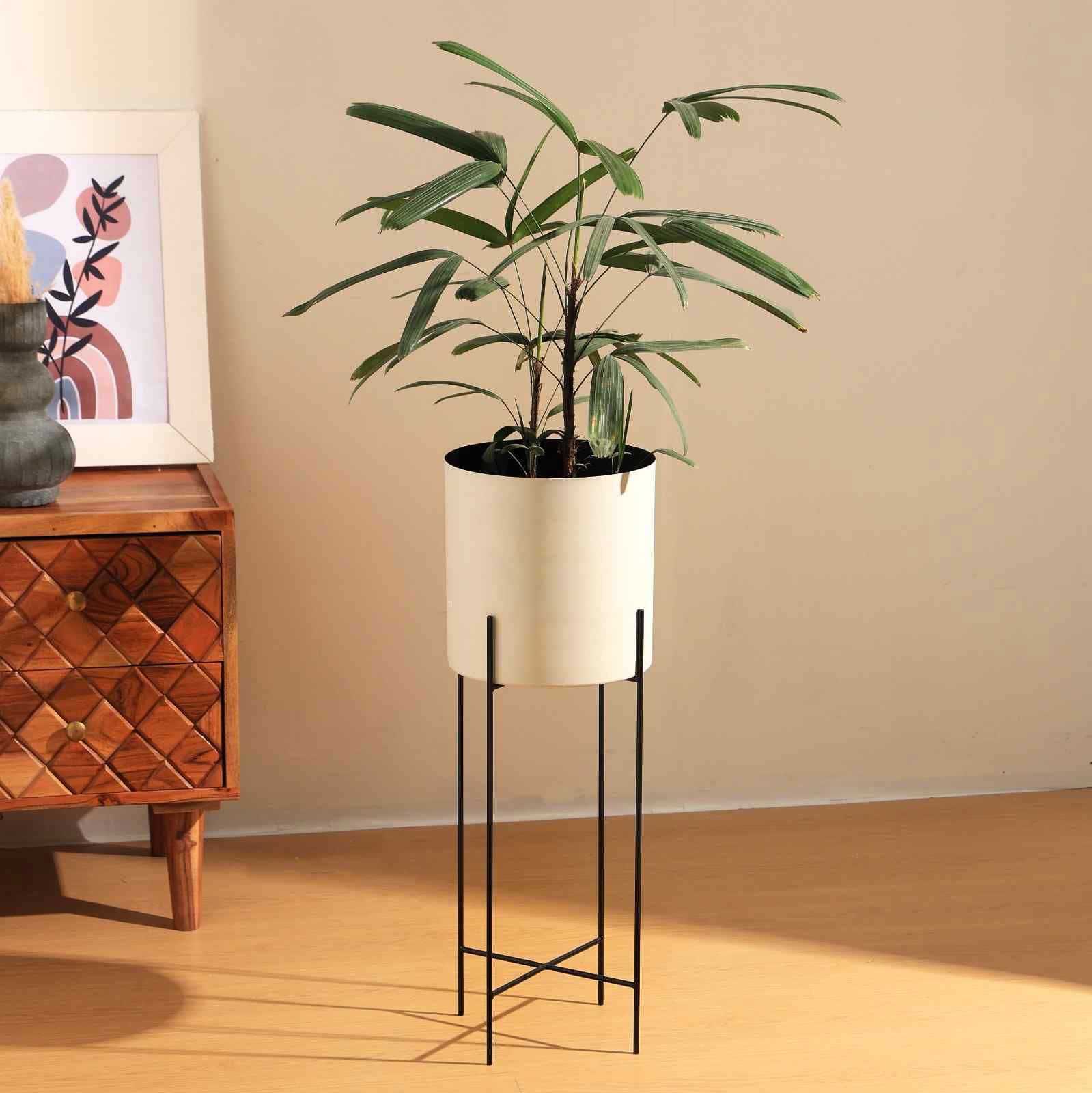 Jardinière (Planter Pot - Single) - Planter, Container, indoor plant Pot, Indoor Planting - FIG Living - Jardinière (Planter Pot - Single) - Planter, Container, indoor plant Pot, Indoor Planting - FIG Living